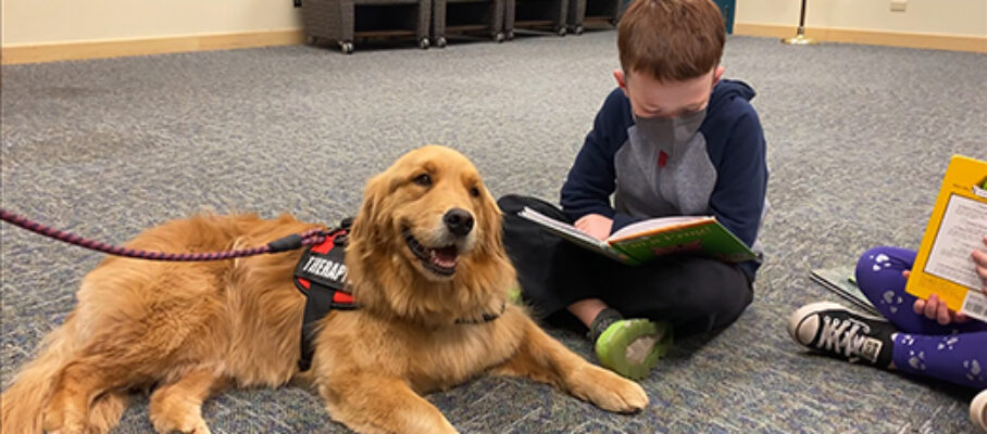 Read to a Dog